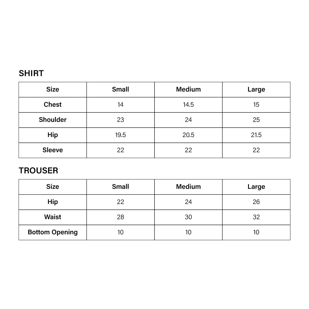 Sable Linen – 2PC Linen Stitched Suit